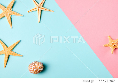 Exotic sea shell and starfish on minimal colorful background with copy space 78671967