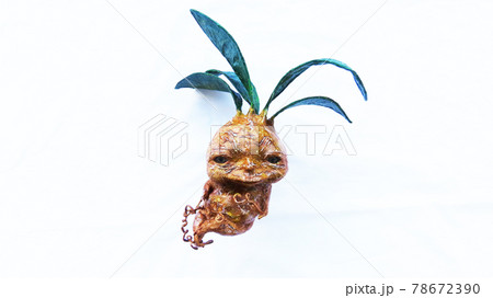 微笑む植物妖精mandreke 78672390