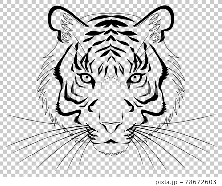 虎の顔 正面 白黒のイラスト素材