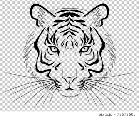 虎の顔 正面 白黒のイラスト素材