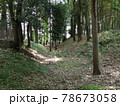 中村城 空堀 78673058
