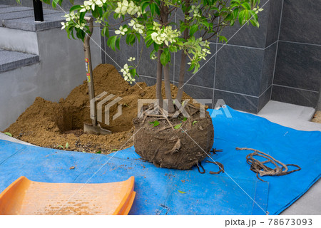植栽工事 78673093