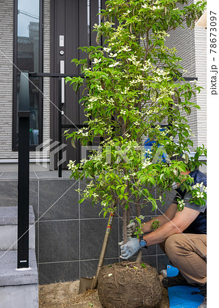 植栽工事 植栽工事 78673097