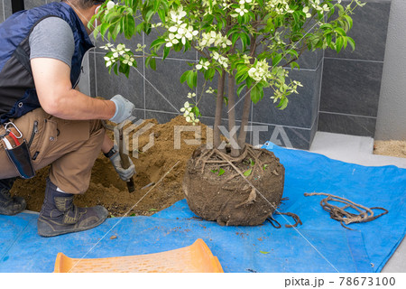 植栽工事 78673100