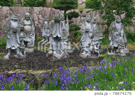 善応寺 7 善応寺 7 78674270