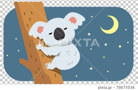 熟睡的考拉和夜空的插畫素材 78675036
