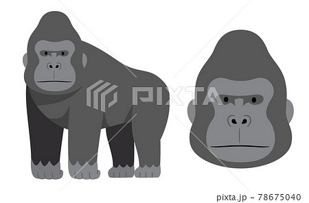 Gorilla And Gorilla Face Illustration Material Stock Illustration