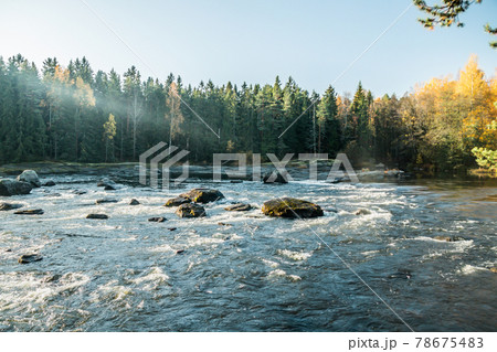 Beautiful autumn landscape on river Kymijoki near the Emperor Alexander lll fishing lodge Langinkoski. Kotka, Finland 78675483