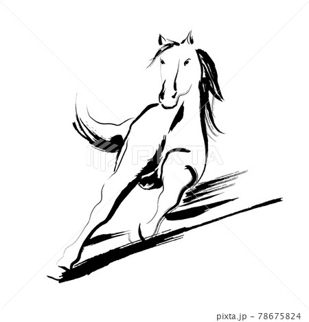 horse with brush stroke isolate on white background horse with brush stroke isolate on white background 78675824