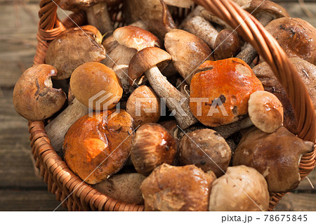 Forest Edible Mushrooms Leccinum Scabrum In Wicker Basket On Old Wooden Table Close Up. Harvesting Mushrooms. Selective Focus. Forest Edible Mushrooms Leccinum Scabrum In Wicker Basket On Old Wooden Table Close Up. Harvesting Mushrooms. Selective Focus. 78675845