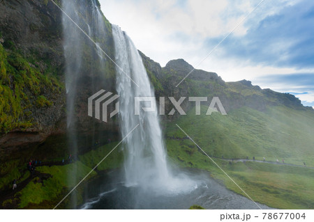 Seljalandsfoss falls in summer season view, Iceland Seljalandsfoss falls in summer season view, Iceland 78677004