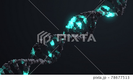 DNA strand spiral double helix 3D Render 78677513