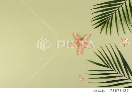 Beach accessories: glasses and hat with shells and sea stars on a colored background Beach accessories: glasses and hat with shells and sea stars on a colored background 78678427