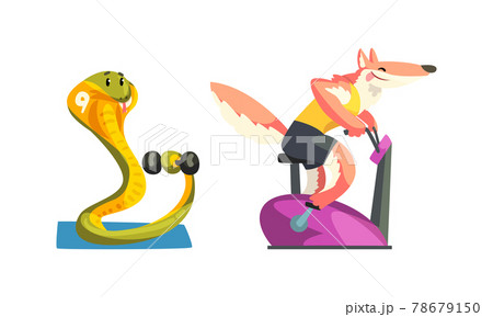 Cute Animals Wild Animals Doing Sports Set, Fox Exercising on Stationary Bike and Snake Exercising with Dumbbells Cartoon Vector Illustration 78679150