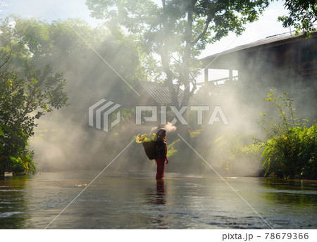 Karen tribe old woman with traditional dress carrying flowers basket walking on stream lake with green jungle forest. Nature landscape. People lifestyle. 78679366
