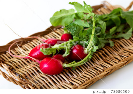 オーガニックのラデッシュ オーガニックのラデッシュ 78680509