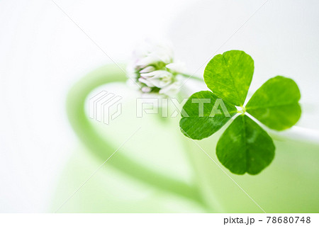 四つ葉のクローバーとコーヒーカップ　白背景素材 78680748