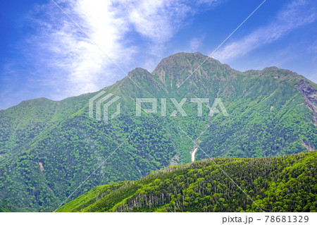 新緑の塩見岳 78681329