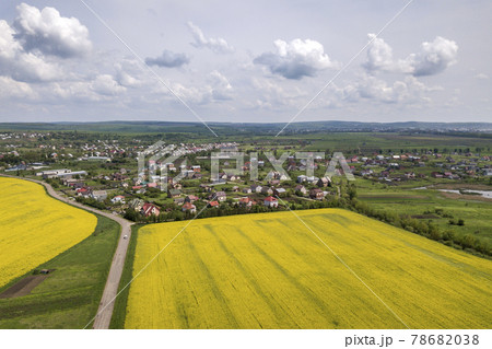 Aerial view of ground road with moving cars in green fields with blooming rapeseed plants, suburb houses on horizon and blue sky copy space background. Drone photography. 78682038