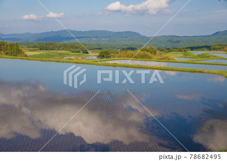 竹田市久住の水田と青空 竹田市久住の水田と青空 78682495