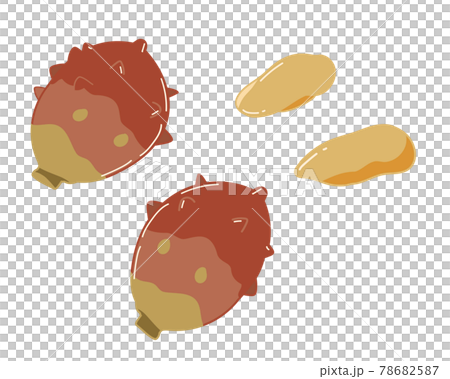 ホヤ 線無し ホヤ 線無し 78682587