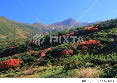 【北海道】大雪山 旭岳の紅葉 【北海道】大雪山 旭岳の紅葉 78682843