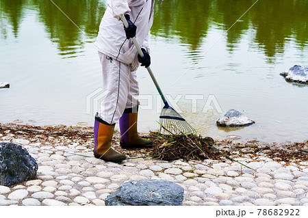公園内を熊手でゴミ集めする中年の男性 78682922