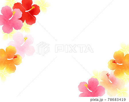 カラフルなハイビスカスとプルメリアのイラスト背景のイラスト素材