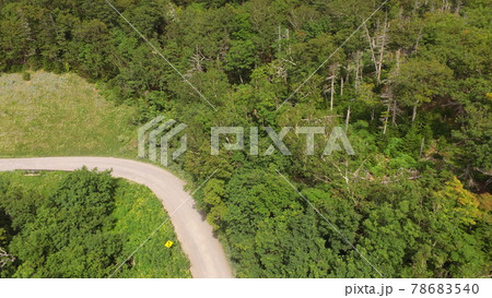 ドローンで上空から撮影した「知床の森」（カムイワッカ湯の滝 付近／北海道斜里郡斜里町） 78683540