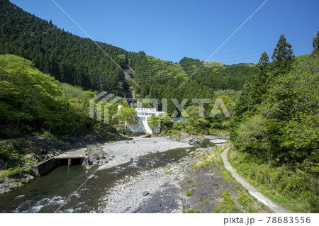 新緑の御岳渓谷 多摩川に架かる吊り橋杣の小橋から上流側の風景 新緑の御岳渓谷 多摩川に架かる吊り橋杣の小橋から上流側の風景 78683556