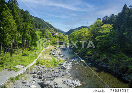 新緑の御岳渓谷　多摩川に架かる吊り橋杣の小橋から下流側の遊歩道や河原 78683557