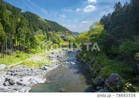 新緑の御岳渓谷 多摩川に架かる吊り橋杣の小橋から下流側の遊歩道や河原 新緑の御岳渓谷 多摩川に架かる吊り橋杣の小橋から下流側の遊歩道や河原 78683558