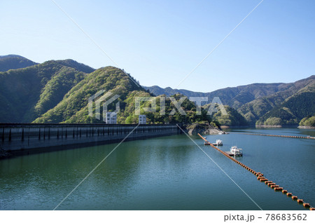 新緑の奥多摩湖 北岸から見る湖面と小河内ダム 新緑の奥多摩湖 北岸から見る湖面と小河内ダム 78683562