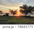 草原と夕日 78683775