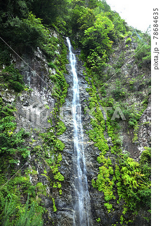 雷の滝 【和歌山県東牟婁郡北山村】 雷の滝 【和歌山県東牟婁郡北山村】 78684635