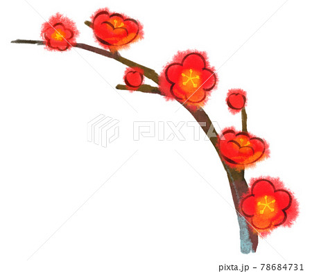 水彩風 赤い梅の花と枝のイラストのイラスト素材