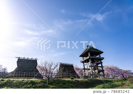 鳥取県米子市 春の伯耆古代の丘公園の帆立貝式古墳と復元の高床建物 鳥取県米子市 春の伯耆古代の丘公園の帆立貝式古墳と復元の高床建物 78685242