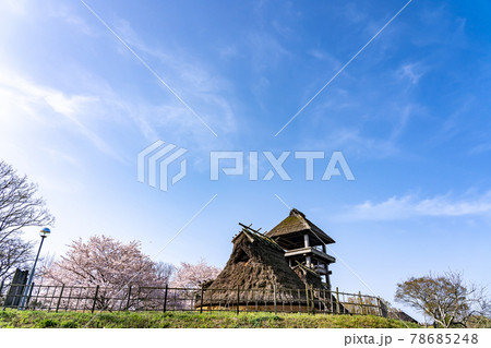 鳥取県米子市　春の伯耆古代の丘公園の帆立貝式古墳と復元の高床建物 78685248
