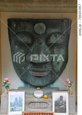 上野恩賜公園 上野大仏 上野恩賜公園 上野大仏 78685967