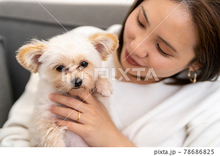 小型犬と暮らす若い女性 小型犬と暮らす若い女性 78686825
