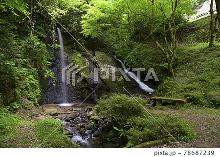 ひづめの滝(福井県福井市大畑町) ひづめの滝(福井県福井市大畑町) 78687239