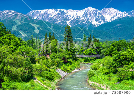 《長野県》北アルプスと新緑の風景・白馬村 78687900