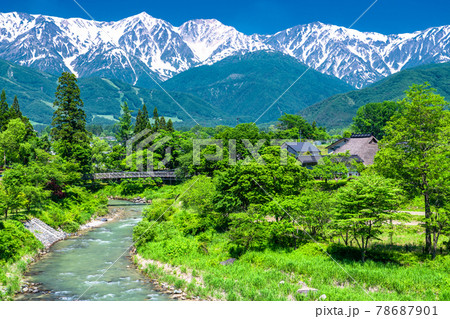《長野県》北アルプスと新緑の風景・白馬村 78687901