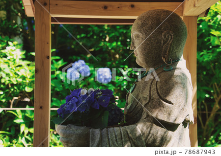 紫陽花と仏像 紫陽花と仏像 78687943