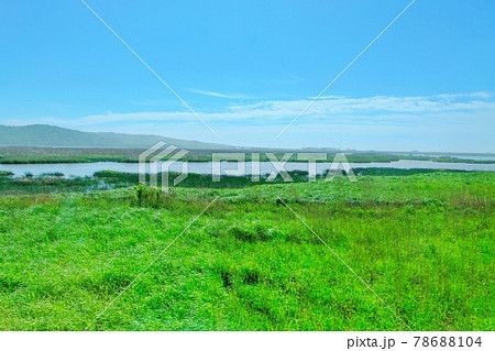 パシクル沼の湿原 (北海道) パシクル沼の湿原 (北海道) 78688104