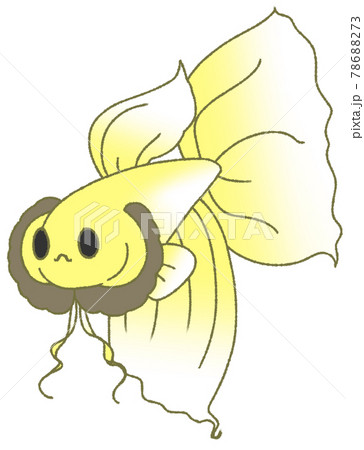 ヒレを広げてアピールするベタ（黄色） 78688273