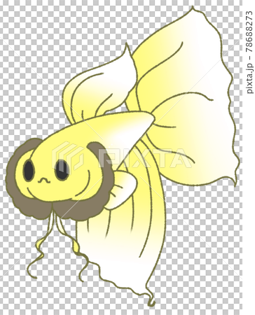 ヒレを広げてアピールするベタ（黄色） 78688273