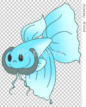 ヒレを広げてアピールするベタ（水色） 78688282