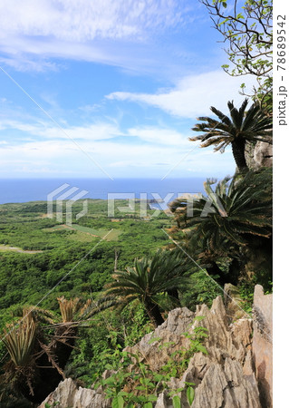 沖縄 国頭村 大石林山から望む辺戸岬 沖縄 国頭村 大石林山から望む辺戸岬 78689542