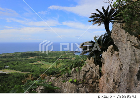 沖縄 国頭村 大石林山から望む辺戸岬 沖縄 国頭村 大石林山から望む辺戸岬 78689543